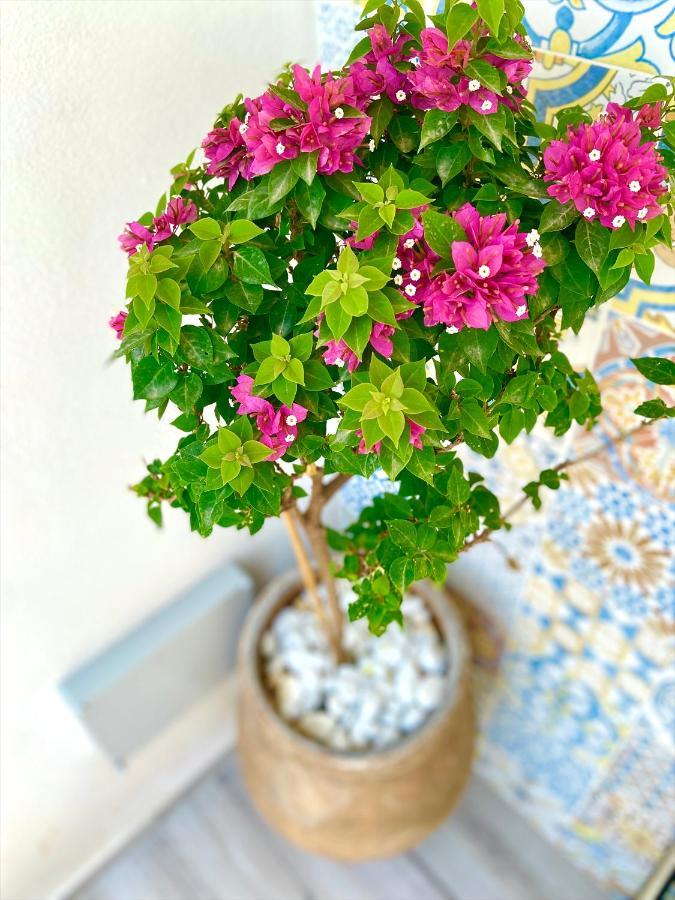 Casa Sole Apartman San Vito Lo Capo Kültér fotó